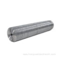 Hot dipped galvanized welded wire mes